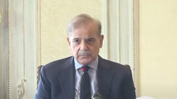 High-powered Chinese delegation to visit Pakistan soon, says PM Shehbaz