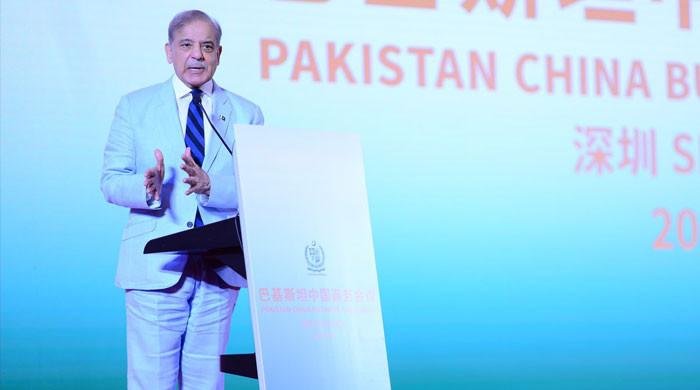 PM Shehbaz guarantees facilitation, security to Chinese investment