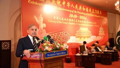 CPEC phase-II to help transform Pakistan's economy: PM Shehbaz