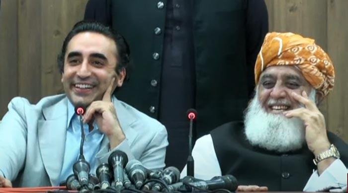 PPP, JUI-F achieve consensus on constitutional amendment draft