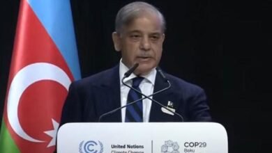 No real resilience sans climate justice, PM tells COP29 Climate Action Summit