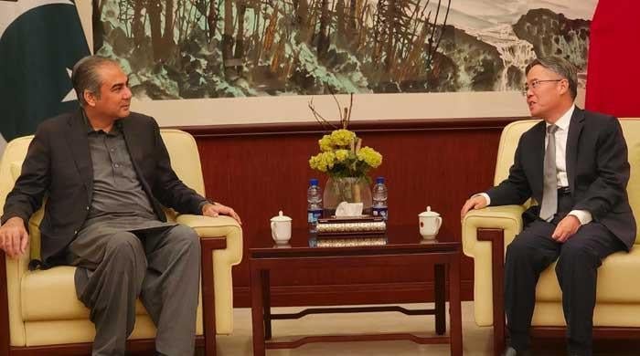 Pakistan agrees with China's approach of linking development with security: Naqvi